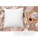 Utopia Bedding Oreillers Blanc  Lot de 2 - Oreillers de Lit Doux - Enveloppe Poly Coton - Coussins 60 x 60 cm | 24" x 24" - B07KCC7CNF
